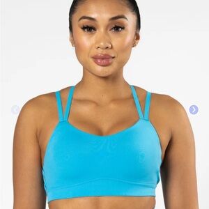 PARAGON Icon SculptSupport Sports Bra